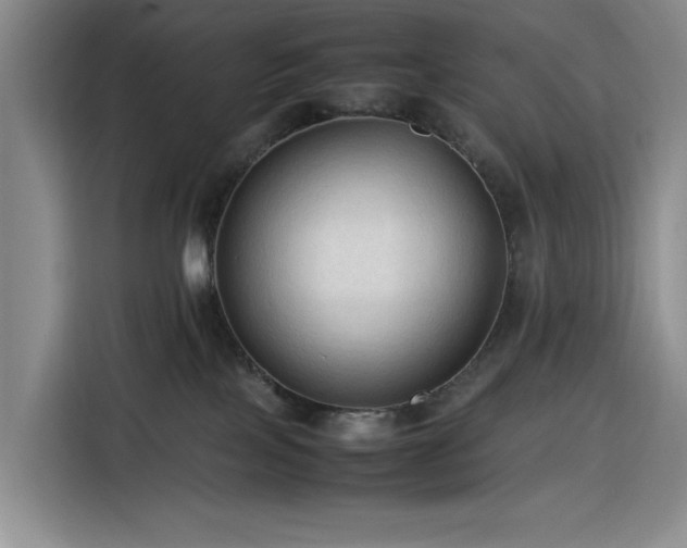 X0000116310089200912071317