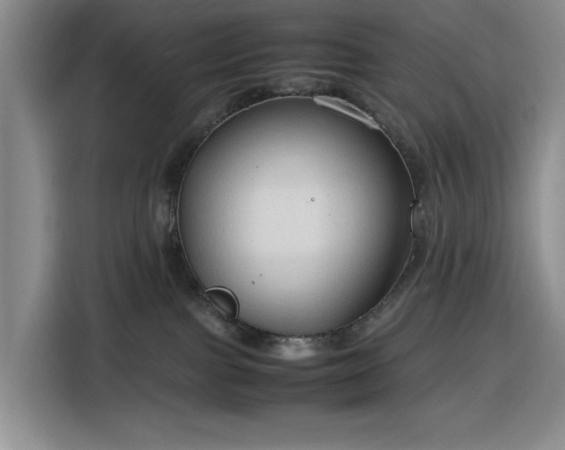 X0000116310091200912071317