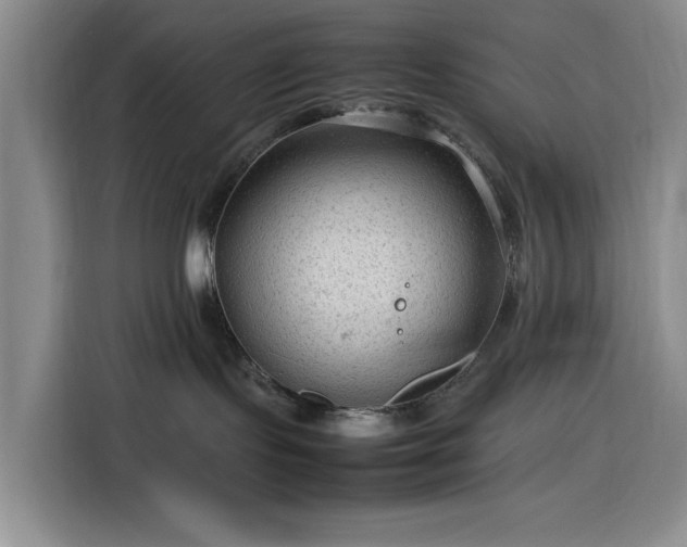 X0000116310095200912071317