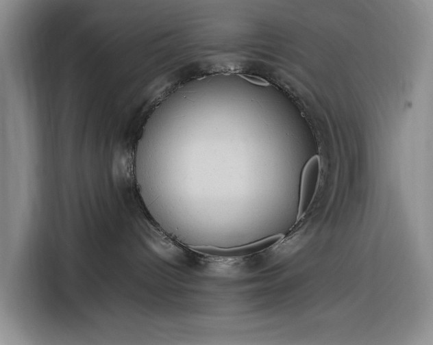 X0000116310096200912071317