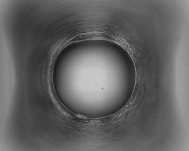 X0000116310097200912071316