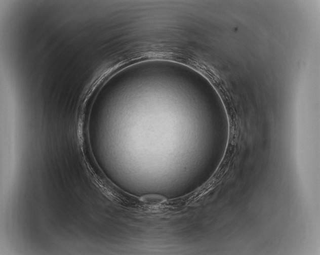 X0000116310098200912071316