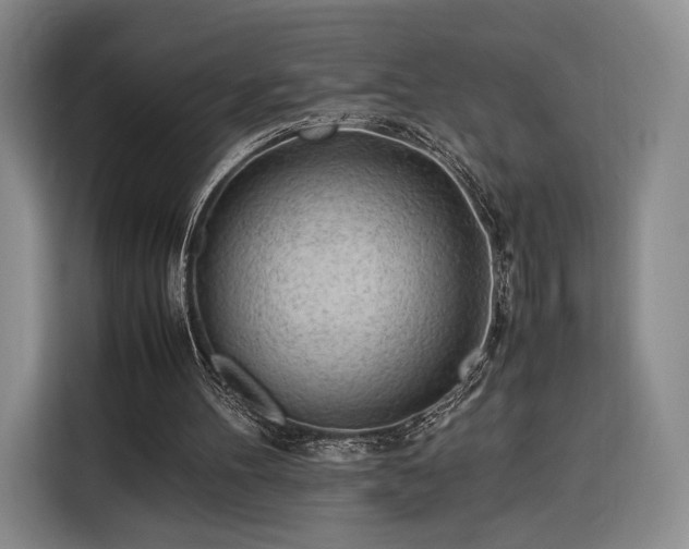 X0000116310100200912071316