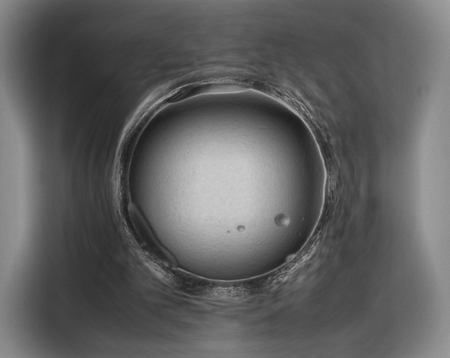 X0000116310101200912071316