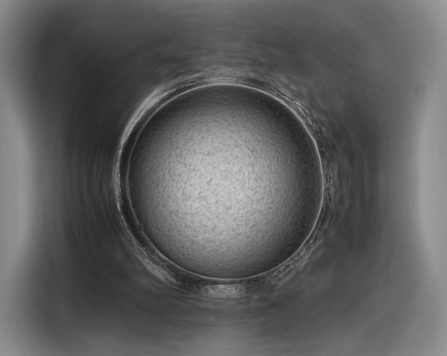 X0000116310102200912071316