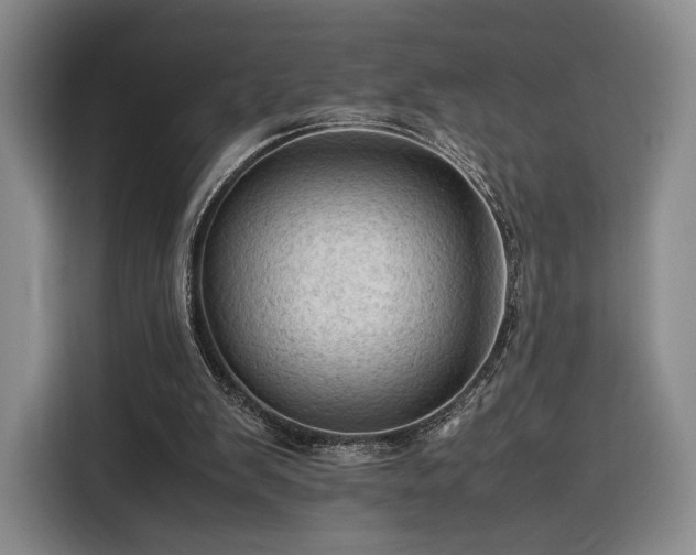 X0000116310103200912071316