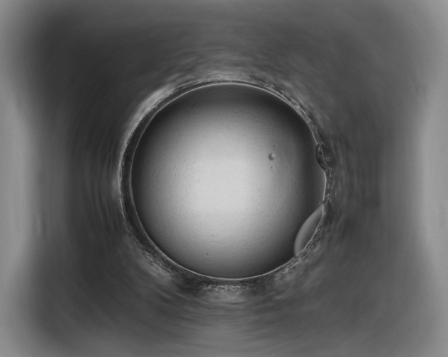 X0000116310104200912071316