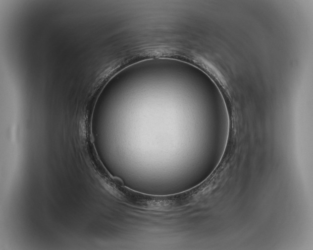 X0000116310105200912071316