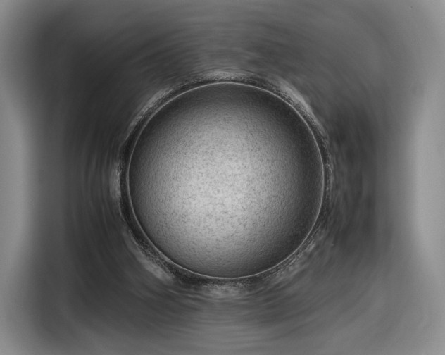 X0000116310106200912071316