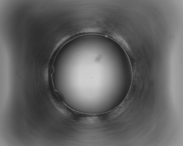 X0000116310108200912071316