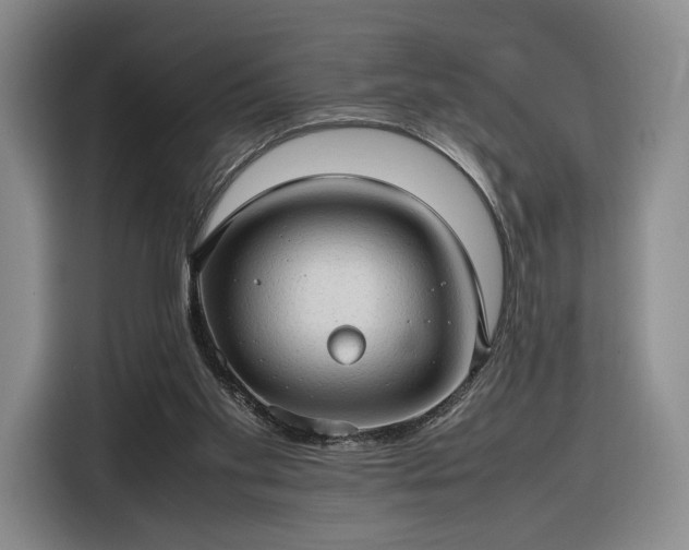 X0000116310109200912071316