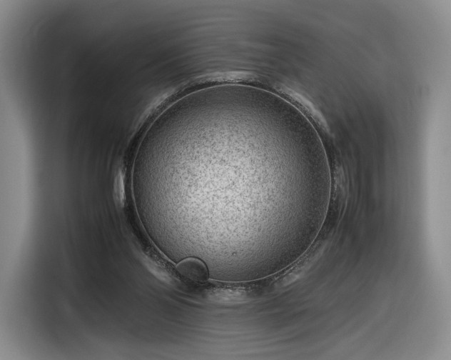 X0000116310110200912071316