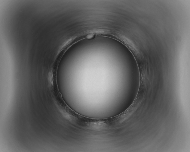 X0000116310112200912071316