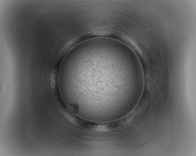 X0000116310114200912071316