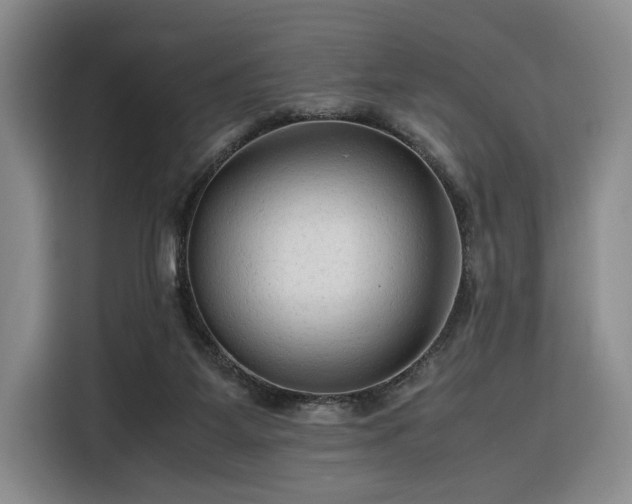 X0000116310115200912071316