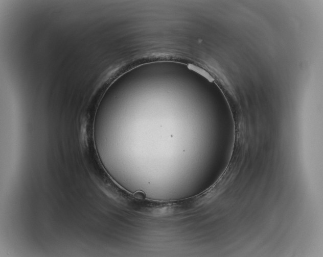 X0000116310116200912071316