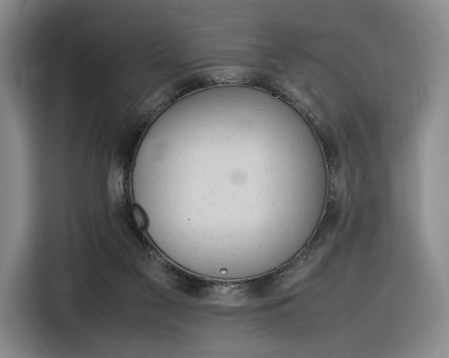 X0000116310117200912071316