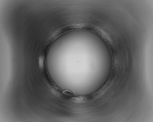 X0000116310118200912071316