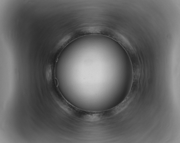 X0000116310120200912071316