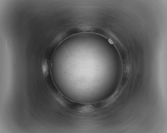 X0000116310124200912071316