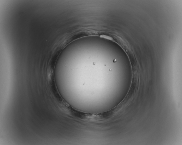 X0000116310125200912071316