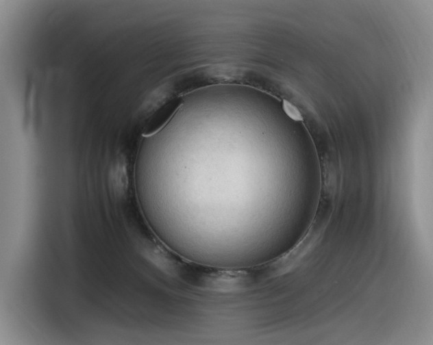 X0000116310128200912071316