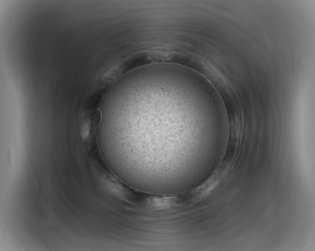 X0000116310134200912071316