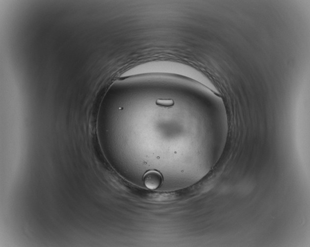 X0000116310135200912071316