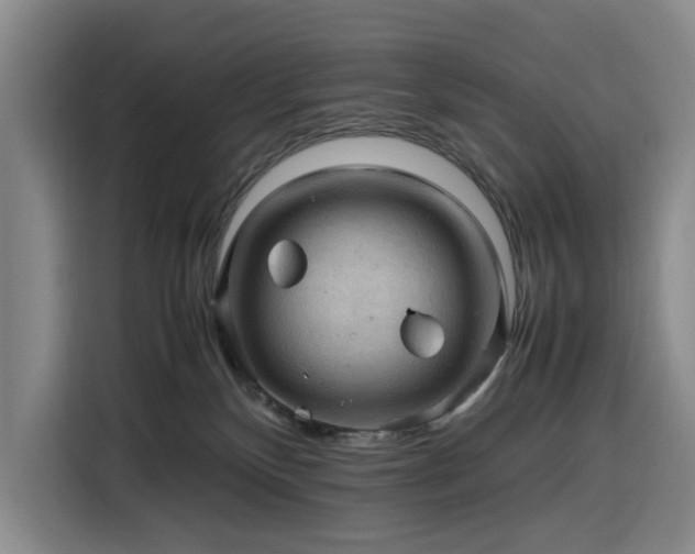 X0000116310136200912071316