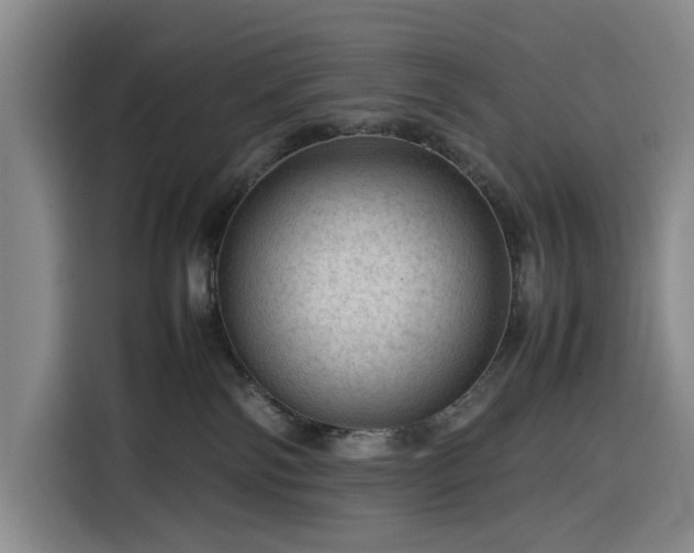 X0000116310138200912071316