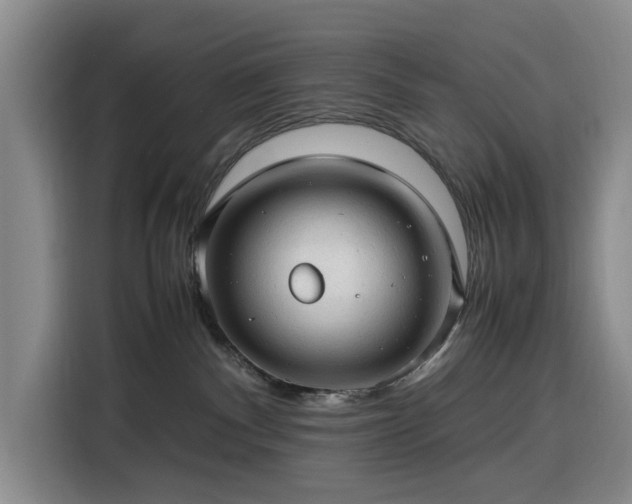 X0000116310140200912071316