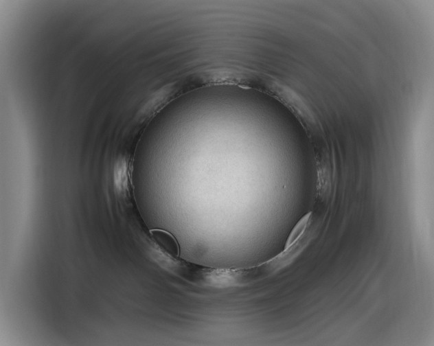 X0000116310142200912071316