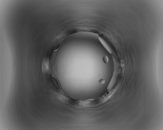 X0000116310143200912071316