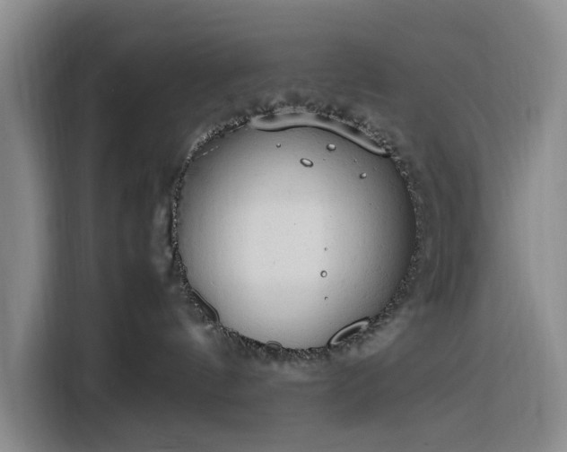 X0000116310144200912071316