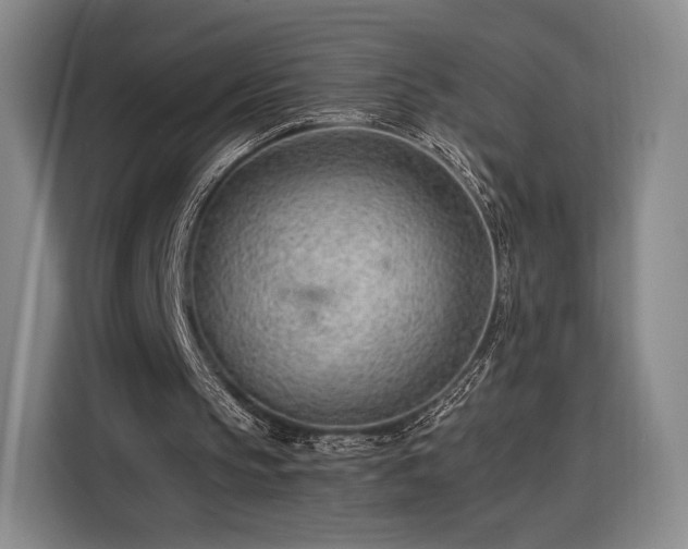 X0000116310145200912071315