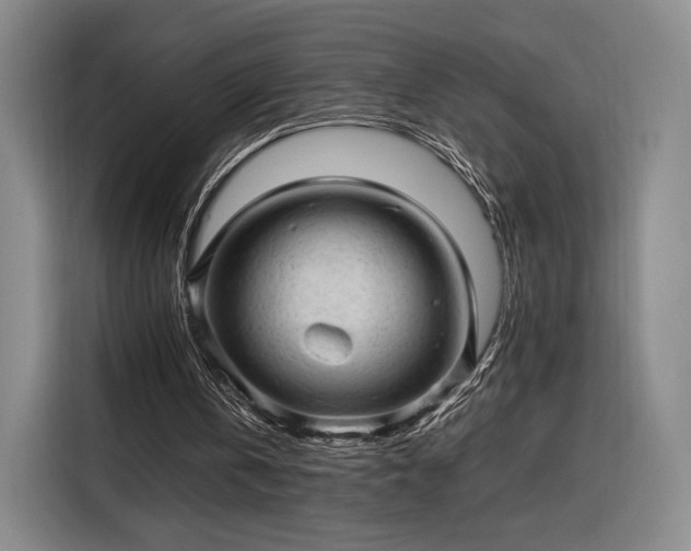 X0000116310146200912071315