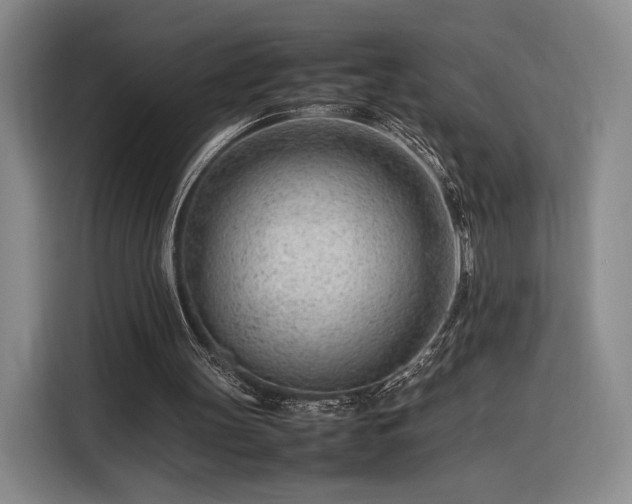 X0000116310147200912071315