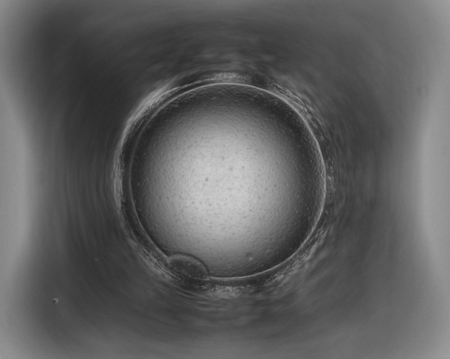 X0000116310149200912071315