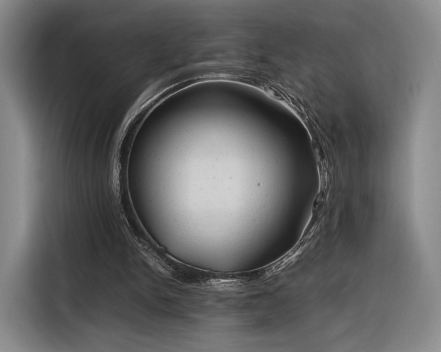 X0000116310150200912071315