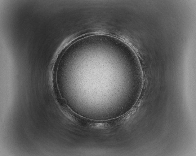 X0000116310151200912071315