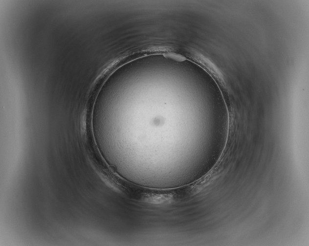 X0000116310155200912071315