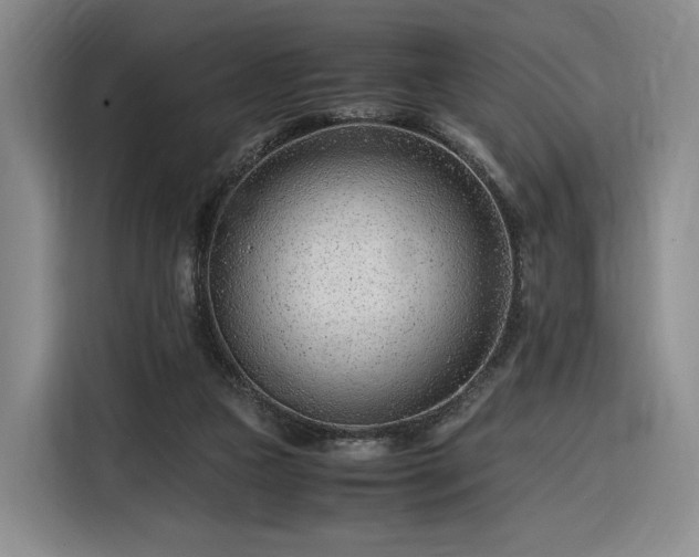 X0000116310161200912071315