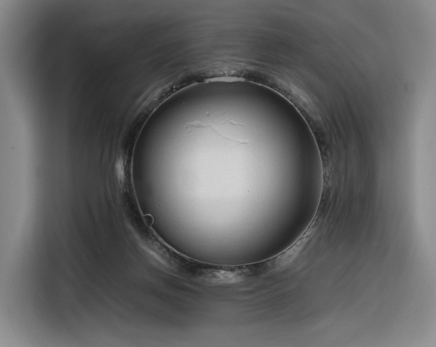 X0000116310166200912071315