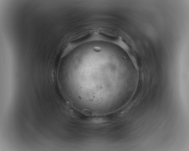 X0000116310169200912071316