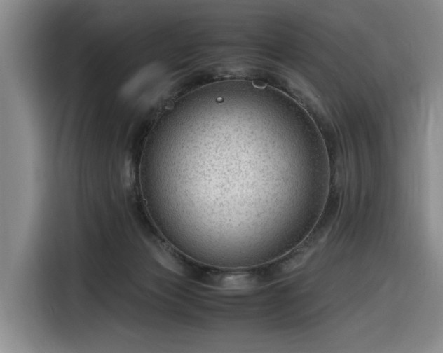 X0000116310173200912071316