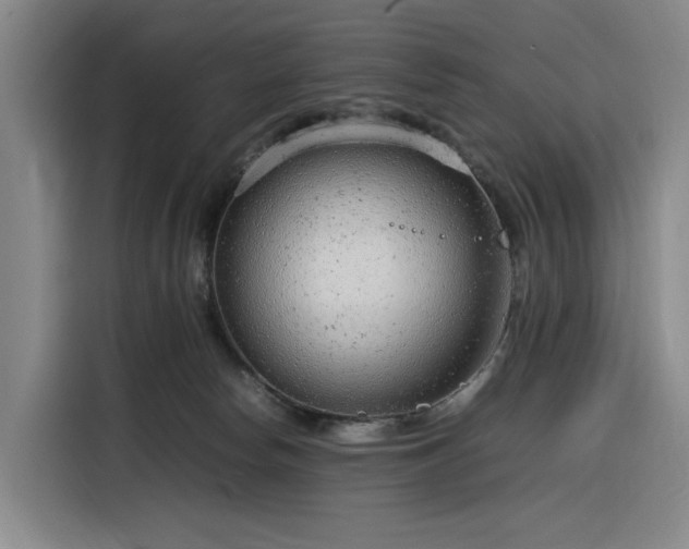 X0000116310178200912071316