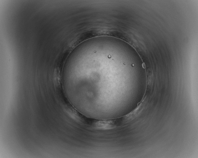 X0000116310179200912071316