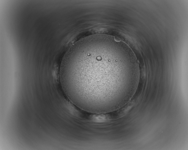 X0000116310181200912071316