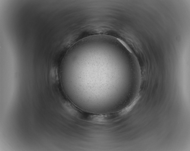 X0000116310182200912071316