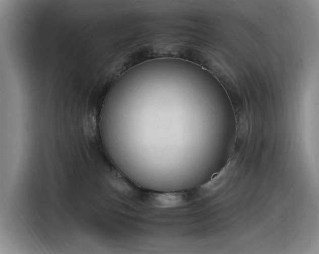 X0000116310183200912071316